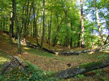 Rezerwat 